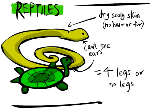 reptiles