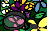 seasons