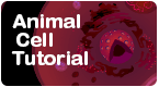 animal cell tutorial