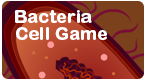 bacteria cell game