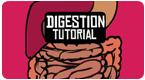 Digestion Tutorial