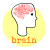 brain