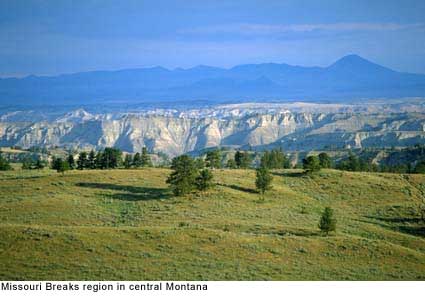 This image is a work of a Bureau of Land Management* employee, taken or made during the course of an employee's official duties. As a work of the U.S. federal government, the image is in the public domain.